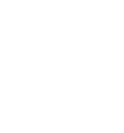 Aorus