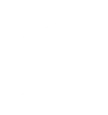 aorus